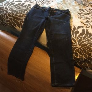 Lane Bryant Jeans